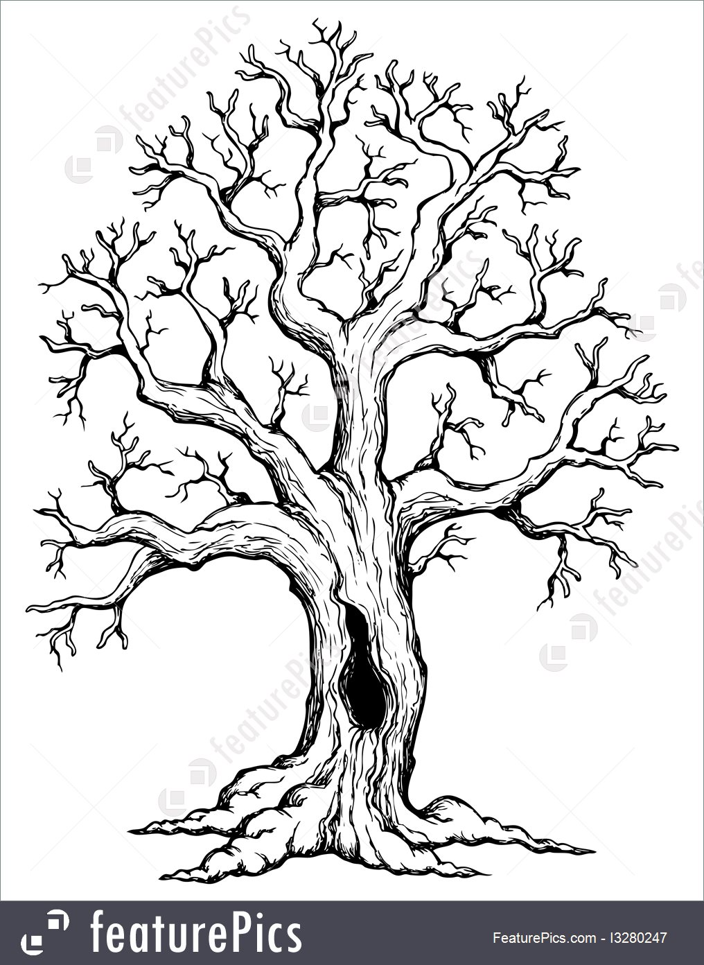 1016x1392 illustration of tree theme drawing - Stylized Tree Drawing