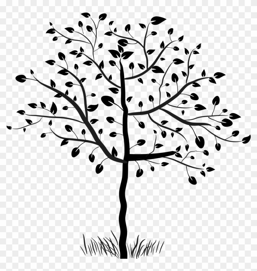 Stylized Tree Drawing at PaintingValley.com | Explore collection of ...