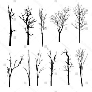 300x300 vector bare tree silhouettes black stylized trees without leaves - Stylized Tree Drawing