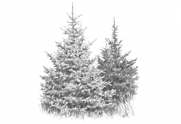 600x412 ways to spruce up your landscape pencil drawings! - Stylized Tree Drawing