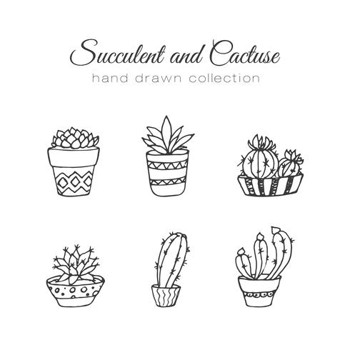 490x490 hand drawn succulent and cacti set - Succulent Drawing