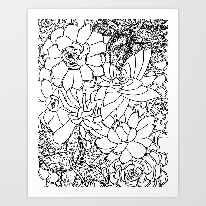 700x700 succulent line drawing art print - Succulent Drawing