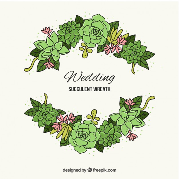 626x626 succulent vectors, photos and free download - Succulent Drawing