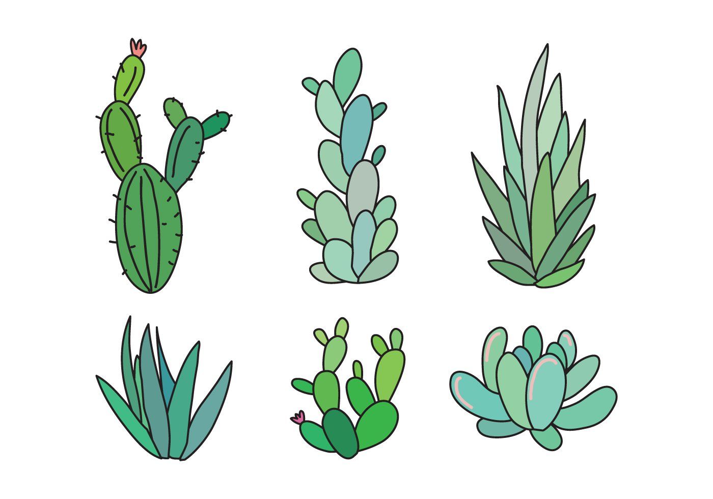 1400x980 Cactus And Succulents Outlined Drawings Design - Succulent Drawing