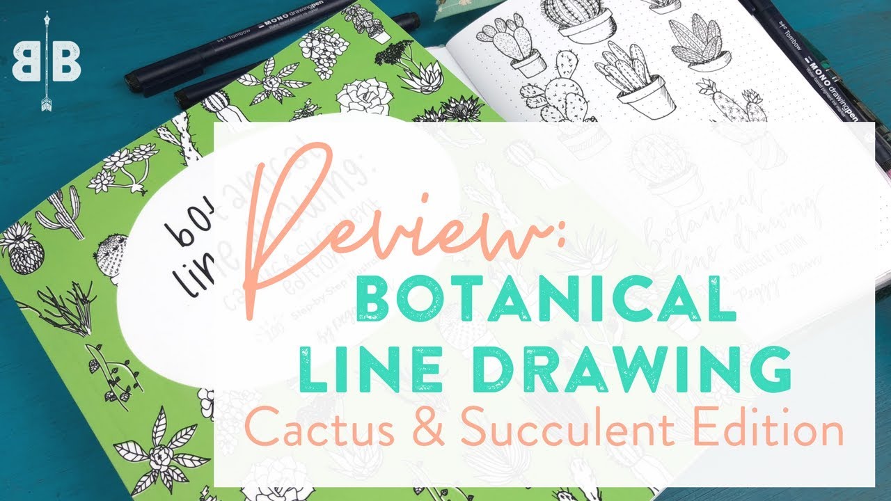 1280x720 review botanical line drawing cactus succulent edition - Succulent Line Drawing