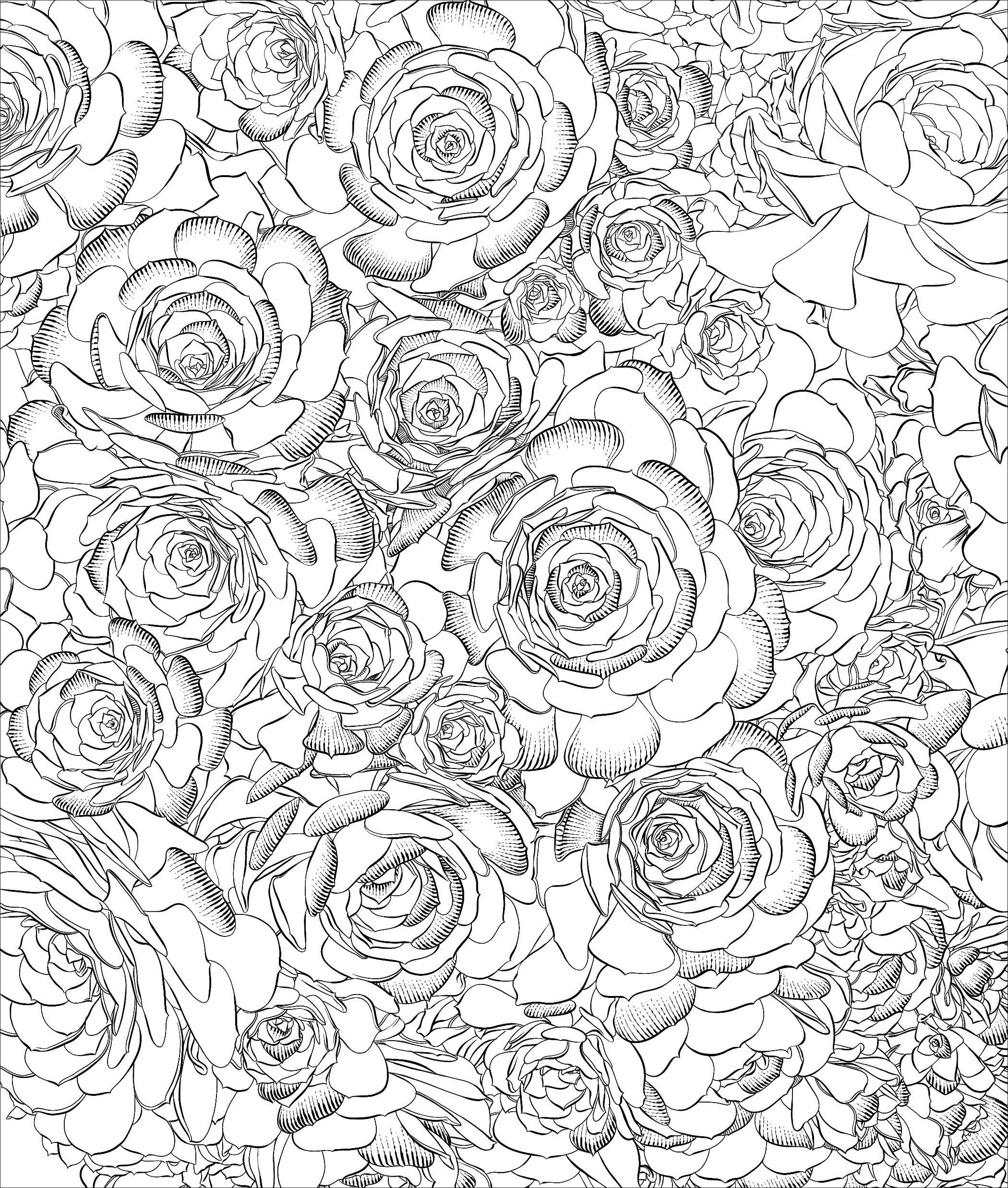 2100x2475 Sensational Succulents An Adult Coloring Book Of Amazing Shapes - Succulent Line Drawing