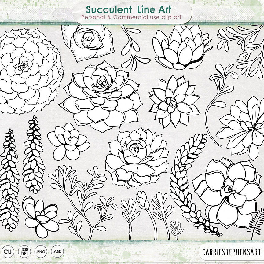 864x864 succulent line art printable clipart outline succulent etsy - Succulent Line Drawing