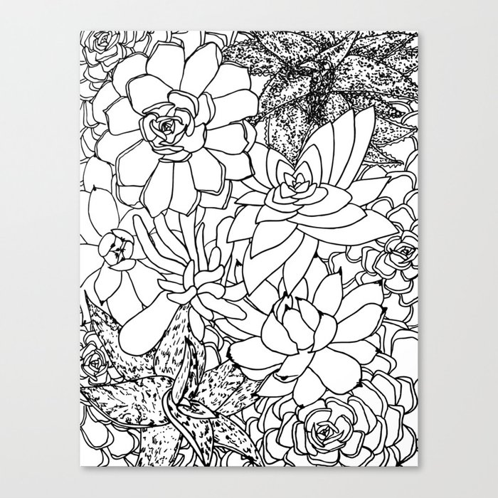 700x700 succulent line drawing canvas print - Succulent Line Drawing