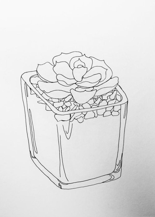 500x700 succulent line drawing greeting card for sale - Succulent Line Drawing