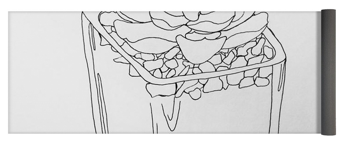 1171x500 succulent line drawing yoga mat for sale - Succulent Line Drawing