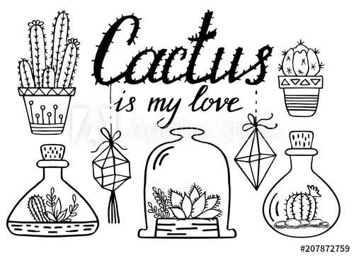 500x361 cacti and succulents line drawing cactus doodle set plants - Succulent Line Drawing