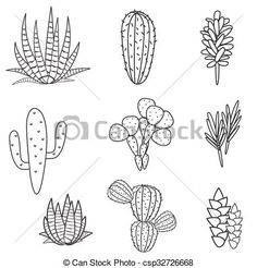 236x246 best succulent sketch images cactus drawing, cactus plants - Succulent Plant Drawing