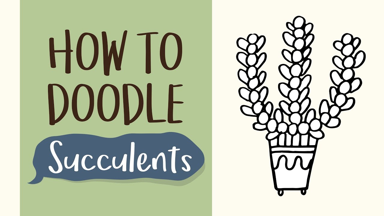 1280x720 how to draw a succulent plant - Succulent Plant Drawing