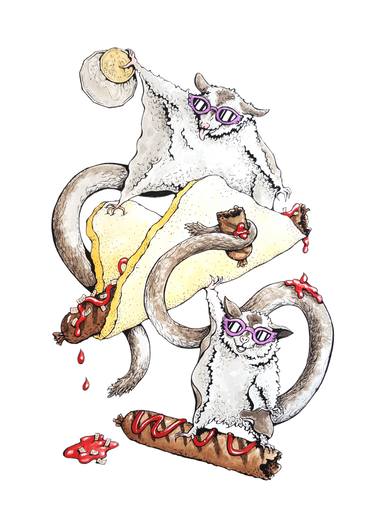 375x526 Sugar Gliders On A Sunday Drawing - Sugar Drawing