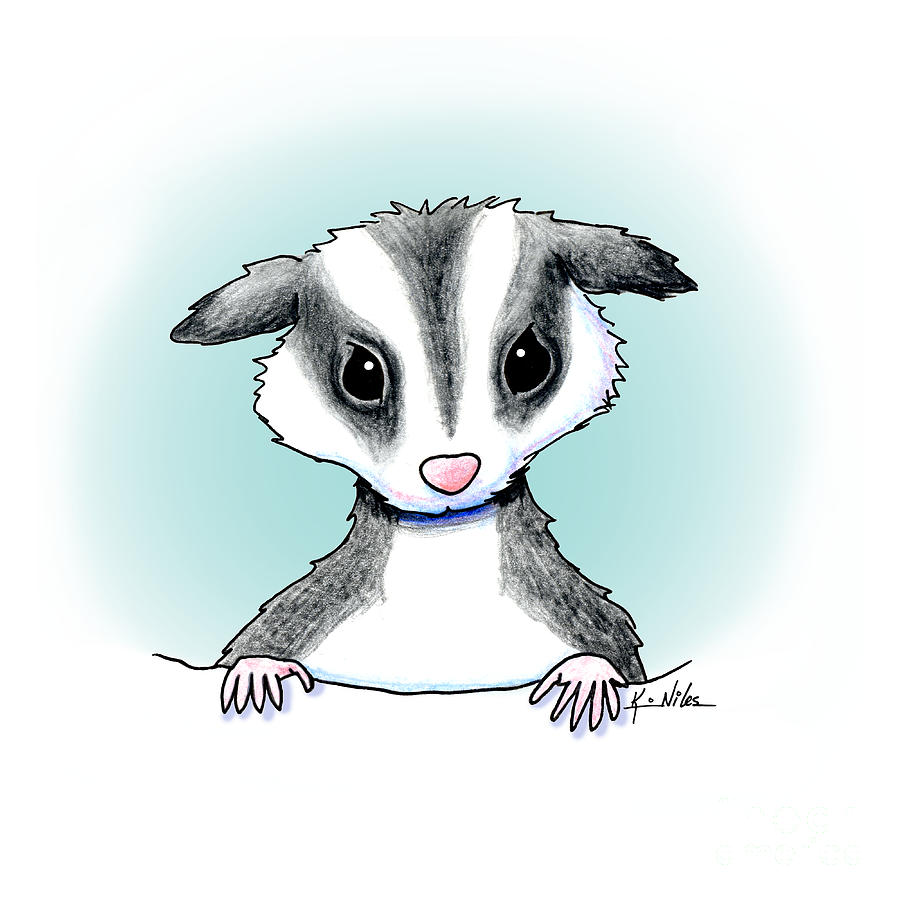 900x900 Kiniart Sugar Glider Drawing - Sugar Glider Drawing
