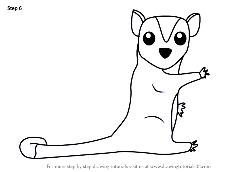 844x598 Learn How To Draw A Cartoon Sugar Glider - Sugar Glider Drawing