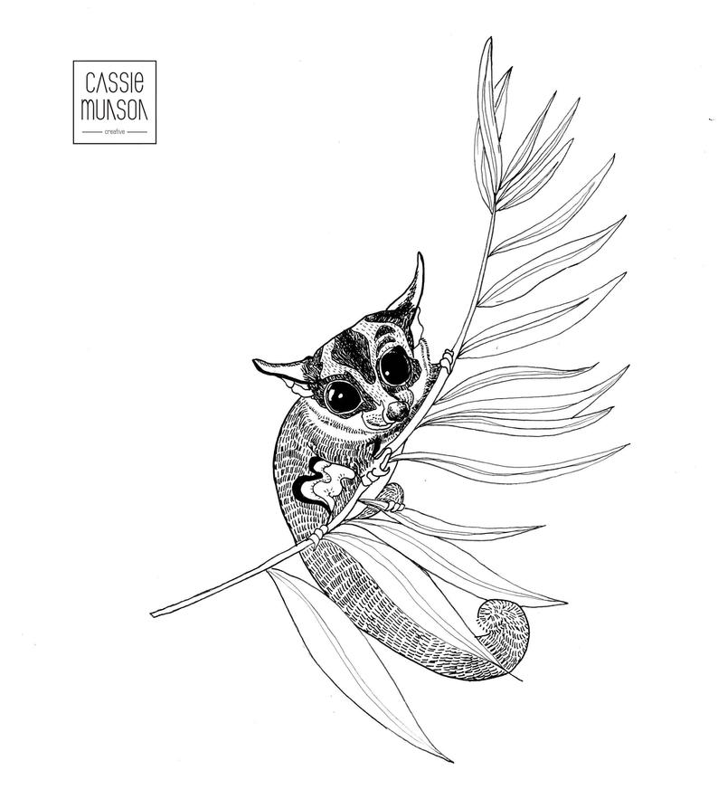 794x883 Original Sugar Glider Possum Australian Wildlife Artwork Ink Etsy - Sugar Glider Drawing