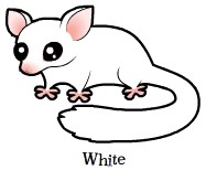 187x164 archive sugar gliders - Sugar Glider Drawing