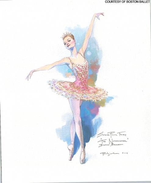 495x600 Sugar Plum Fairy Costume Design From Boston Ballet - Sugar Plum Fairy Drawing