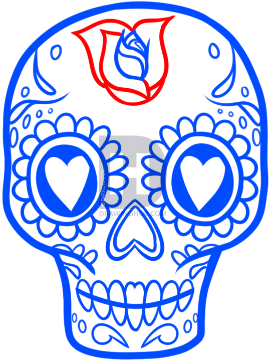 539x720 How To Draw A Sugar Skull Easy, Step - Sugar Skull And Rose Drawing