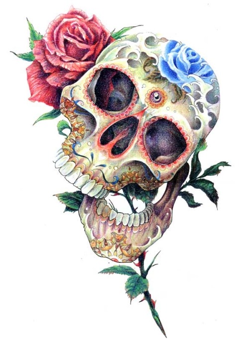 500x691 Love Drawing Art Flowers Skull Floral Anatomy Roses Sugar Skull - Sugar Skull And Rose Drawing