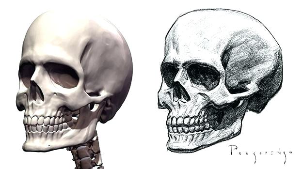 625x349 how to draw a sugar skull how to draw a skull human skull drawing - Sugar Skull Drawing Easy