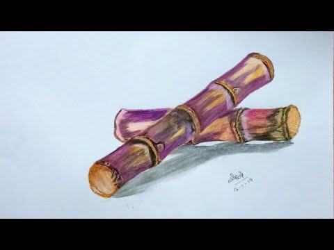480x360 Access Youtube - Sugarcane Drawing