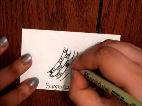 480x360 Tangle Tutorial Sugarcane - Sugarcane Drawing