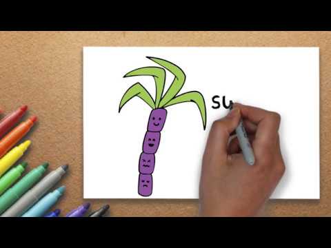 480x360 The Best Drawing Lesson How To Draw A Sugarcane Drawing - Sugarcane Drawing