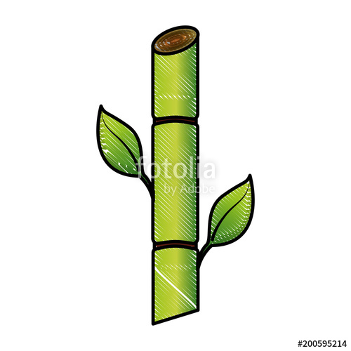 500x500 Sugar Cane Resource Biofuel Renewable Vector Illustration Drawing - Sugarcane Drawing