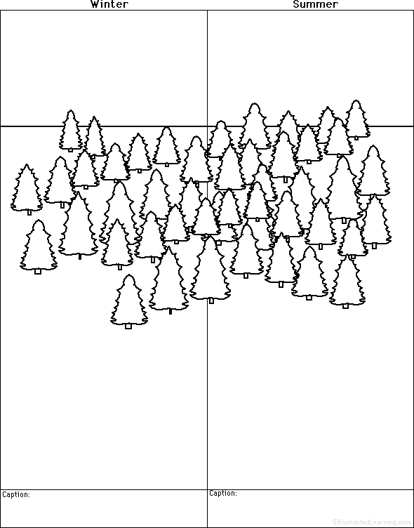 590x752 draw winter and summer drawing and writing prompts to print - Summer Drawing Images