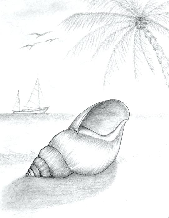 543x700 Summer Drawings A Coloring Made - Summer Drawings