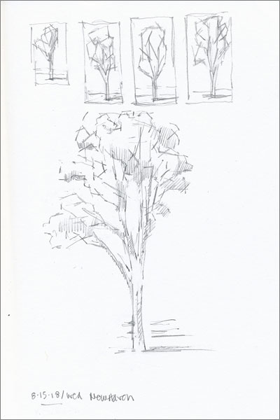 400x600 Summer Drawings - Summer Drawings