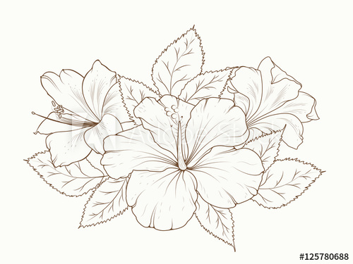 500x375 lily and hibiscus flowers garland bouquet isolated detailed - Summer Flowers Drawing