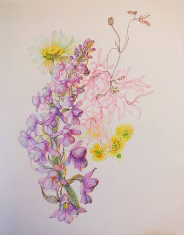 375x477 Summer, Mountain Flowers Drawing - Summer Flowers Drawing