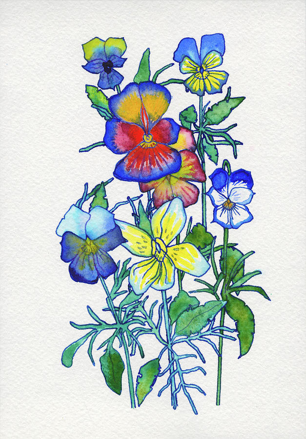 627x900 Summer Flowers Drawing - Summer Flowers Drawing