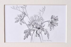 300x198 summer flowers original still life drawing, mounted to fit in frame - Summer Flowers Drawing