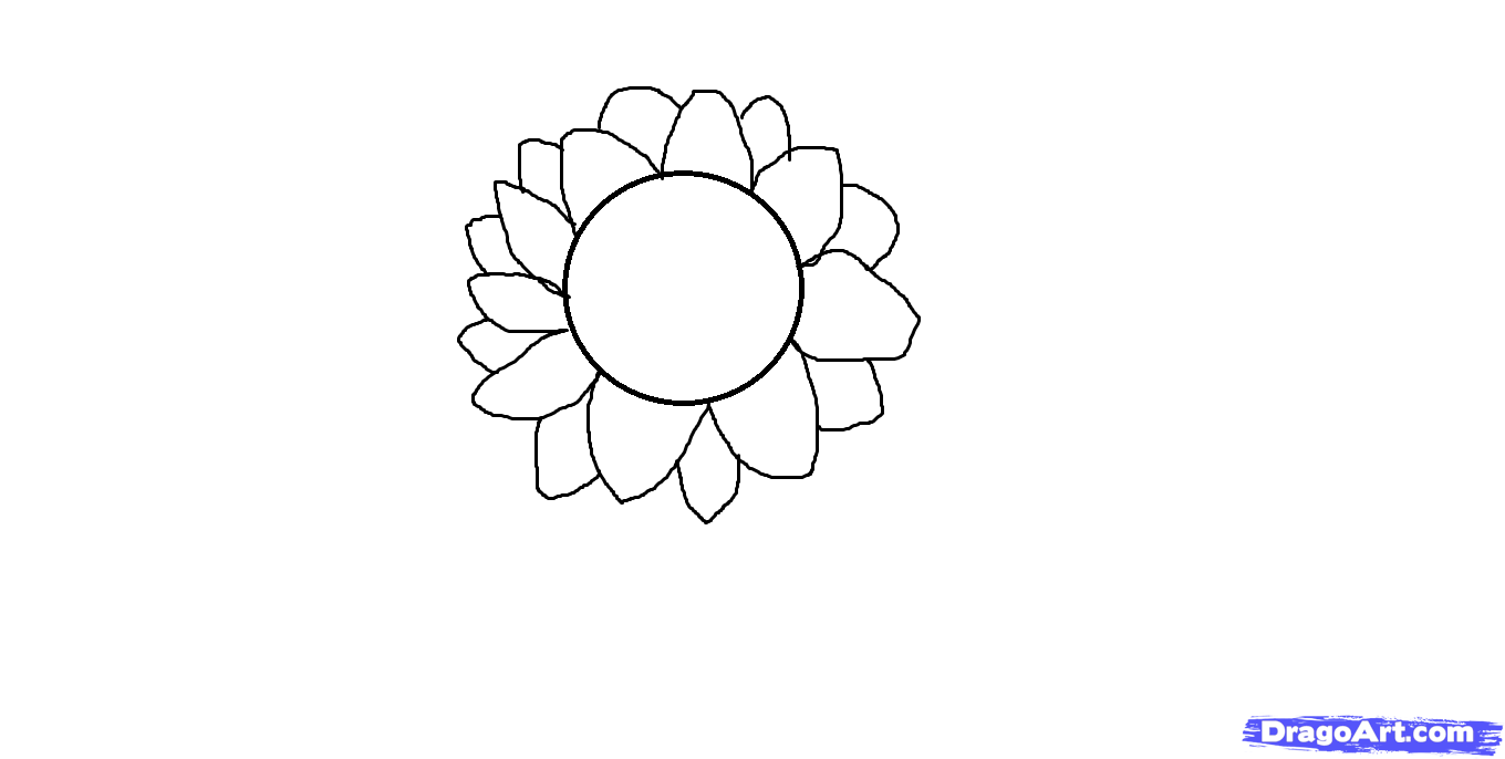 1360x686 Draw A Beautiful Summer Colorful Flower, Step - Summer Flowers Drawing