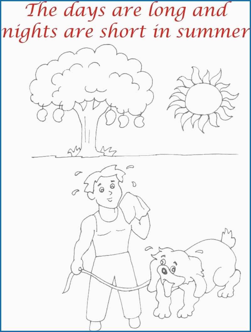 800x1058 summer season coloring pages best summer season drawing - Summer Season Drawing