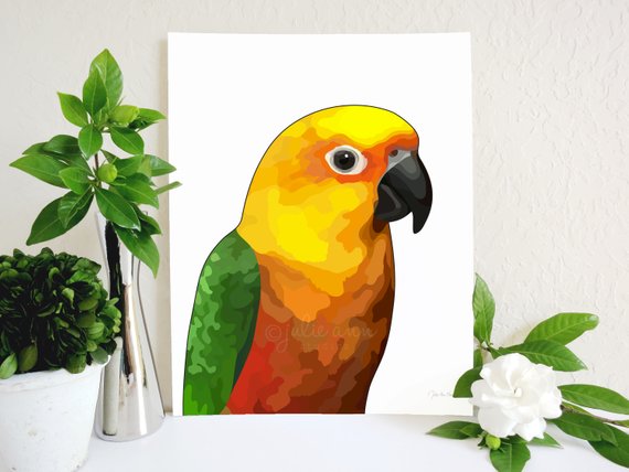 570x428 Jenday Conure Art Print Jenday Painting Jendaya Conure Sun Etsy - Sun Conure Drawing