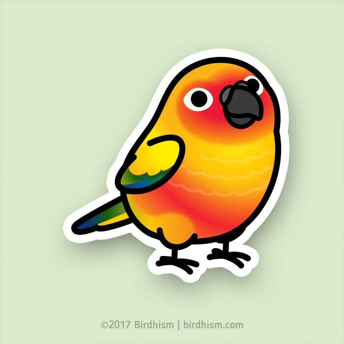 700x700 Chubby Sun Conure Stickers Birdhism - Sun Conure Drawing
