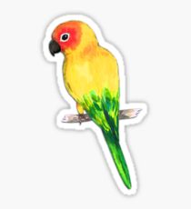 210x230 Sun Conure Drawing Stickers Redbubble - Sun Conure Drawing