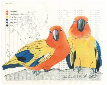 375x299 Sun Conure Drawings For Sale Saatchi Art - Sun Conure Drawing