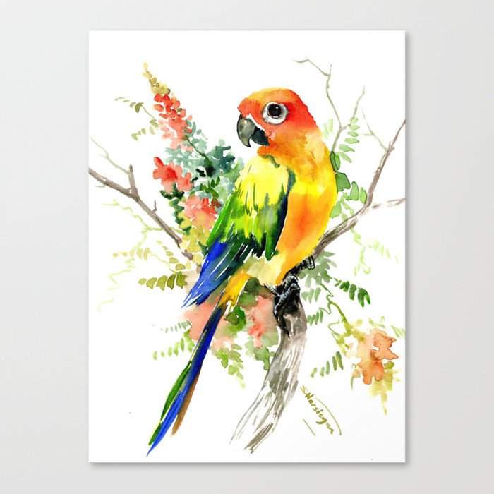 700x700 Sun Conure Parakeet, Tropical Colors Parrot Art Design Canvas - Sun Conure Drawing