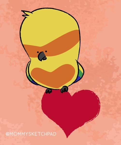 500x600 Cute Sun Conure Drawing - Sun Conure Drawing