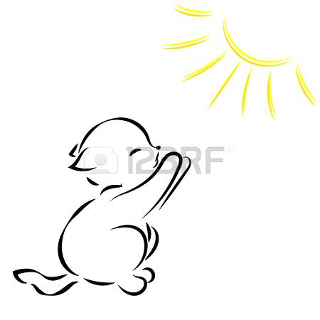 450x450 Black Outline Drawing Of A Cat In The Sun On White Background - Sun Drawing Black And White