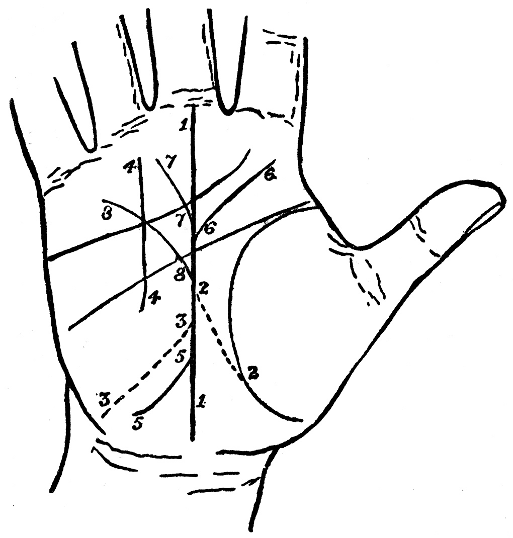 1020x1070 Palmistry For All - Sun Line Drawing