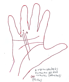 280x336 Astrobasic Palmistry Sun Line Free Astrology Learning Course - Sun Line Drawing
