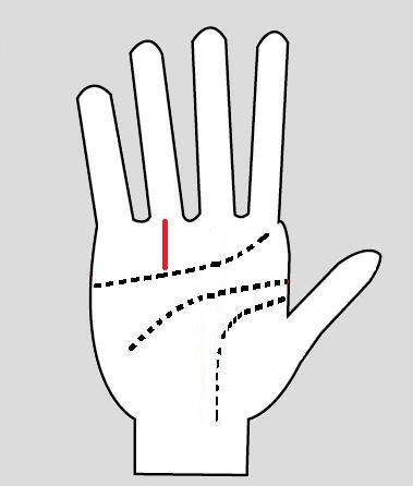 379x446 sun line palm reading success line meaning line of apollo - Sun Line Drawing