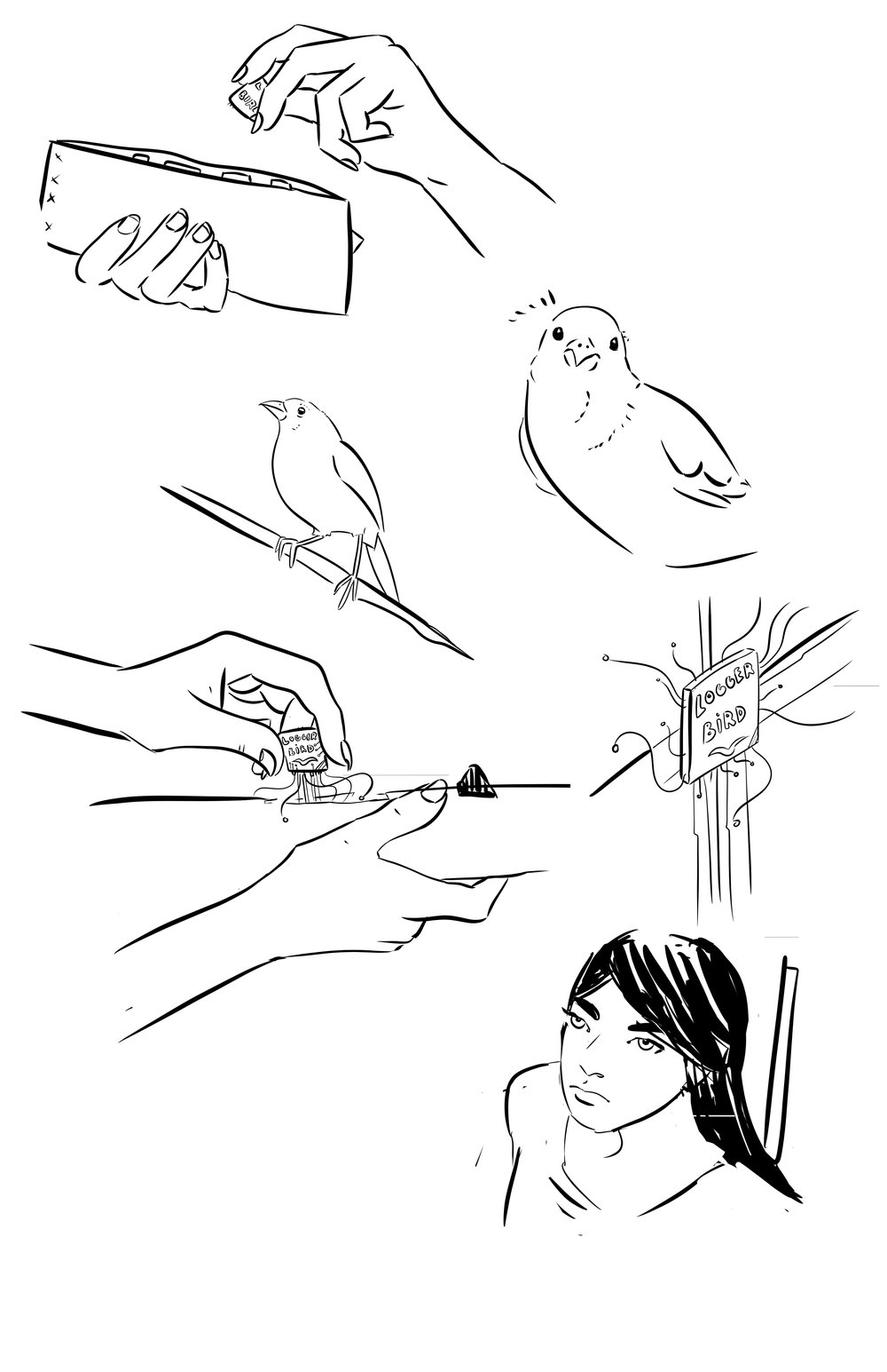 1000x1545 Blog Tilted Sun - Sun Line Drawing